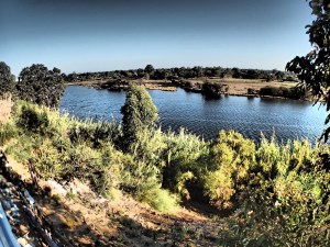 Swan River on Magic Mode