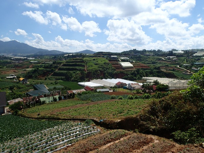 Vietnamese agriculture
