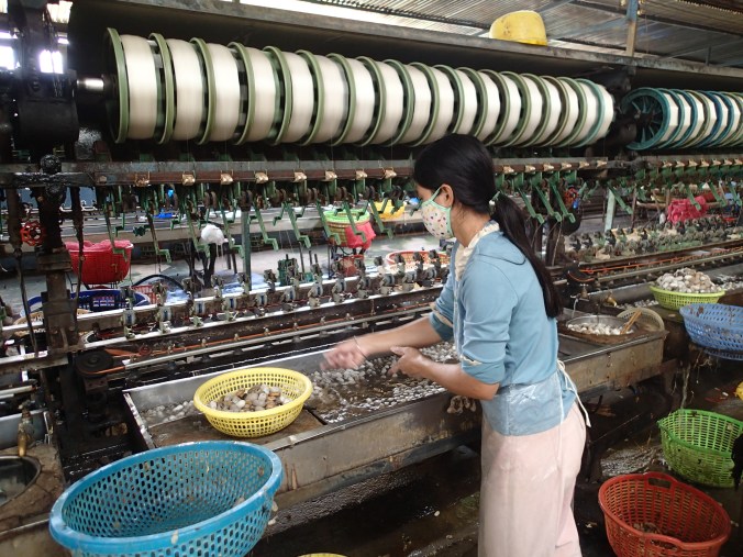 Silk production